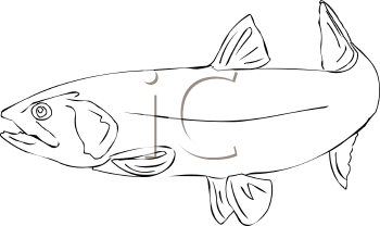 Fish and Sea Life Clipart