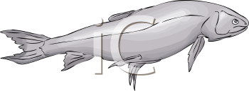 Fish and Sea Life Clipart