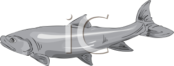 Fish and Sea Life Clipart