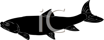 Fish and Sea Life Clipart