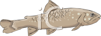 Fish and Sea Life Clipart