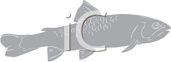 Fish and Sea Life Clipart