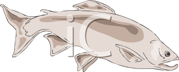 Fish and Sea Life Clipart