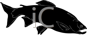 Fish and Sea Life Clipart