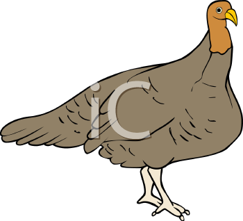 Farm Animal Clipart