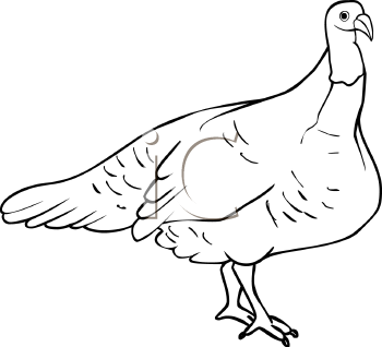 Farm Animal Clipart