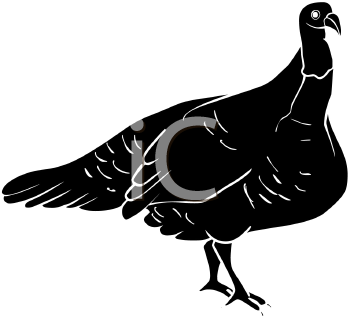 Bird Clipart