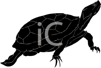 Reptile Clipart