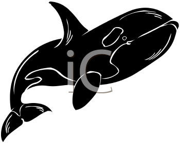 Aquatic Animals Clipart