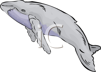 Aquatic Animals Clipart