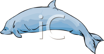 Fish and Sealife Clipart