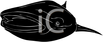 Fish and Sealife Clipart