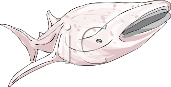 Fish and Sealife Clipart