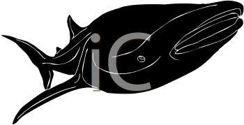 Fish and Sealife Clipart