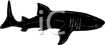 Aquatic Animals Clipart