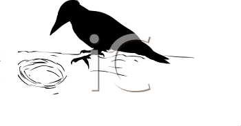 Bird Clipart