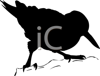 Bird Clipart