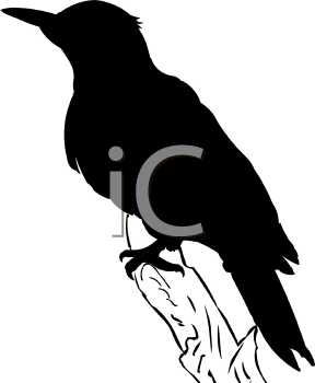 Bird Clipart