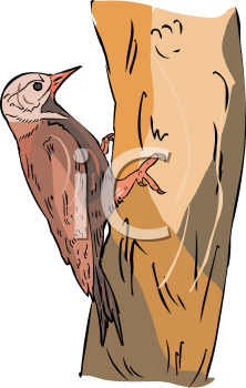 Bird Clipart