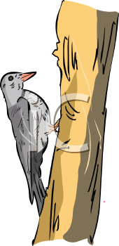 Bird Clipart