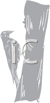 Bird Clipart