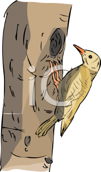 Bird Clipart