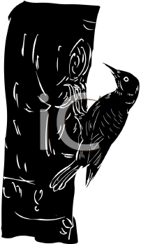 Bird Clipart