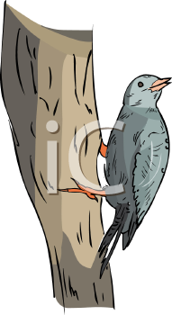 Bird Clipart