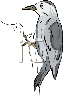 Bird Clipart