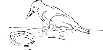 Bird Clipart