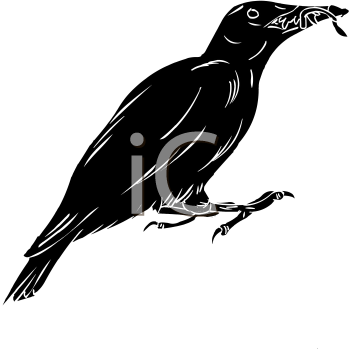 Bird Clipart