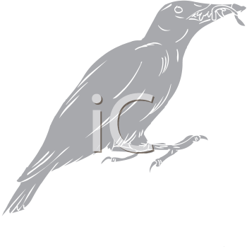 Bird Clipart