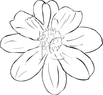 Flower Clipart