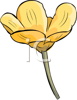 Flower Clipart