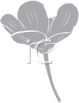 Flower Clipart