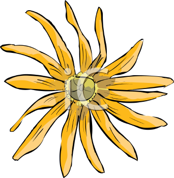 Flower Clipart