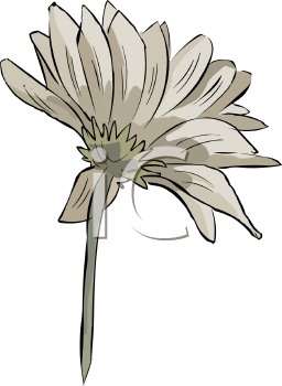 Flower Clipart