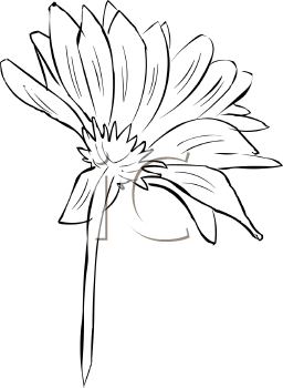 Flower Clipart