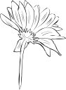 Flower Clipart