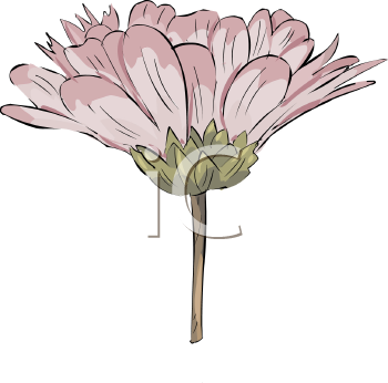 Flower Clipart