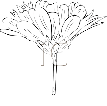 Flower Clipart