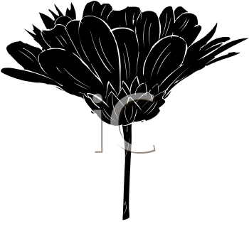 Flower Clipart