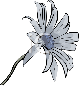 Flower Clipart