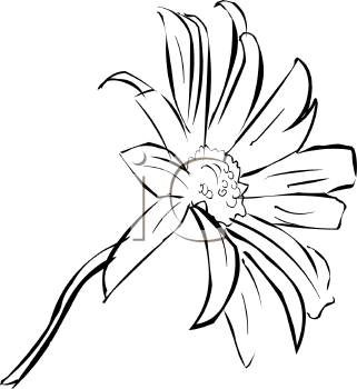 Flower Clipart