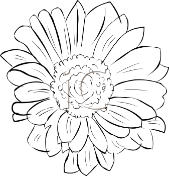 Flower Clipart