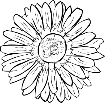 Flower Clipart