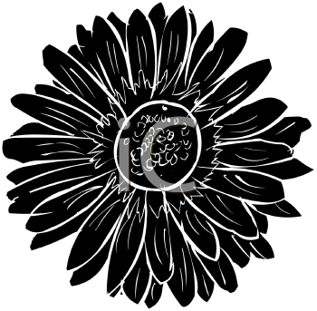 Flower Clipart