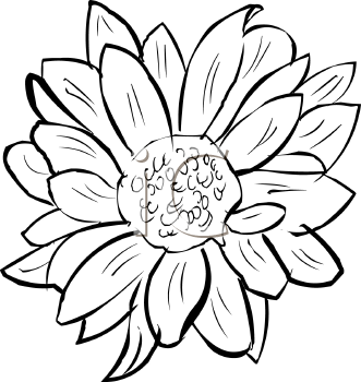 Flower Clipart