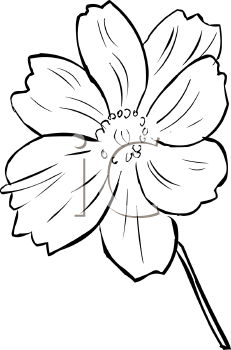 Flower Clipart