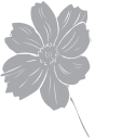 Flower Clipart